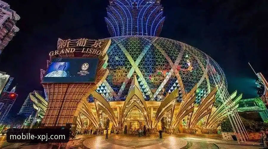 新浦京娱乐城移动端 vs 电脑版：官方免费下载与功能深度对比分析