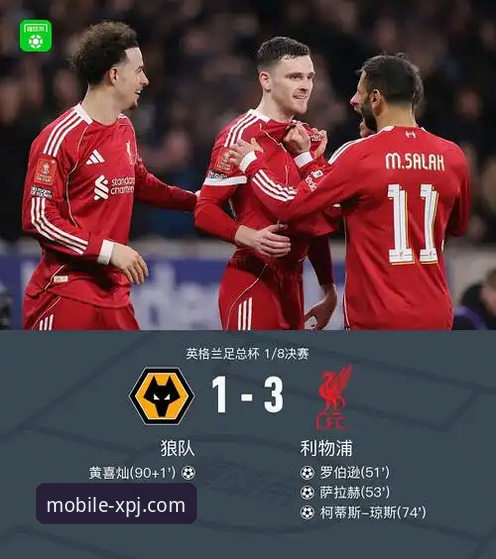 从狼队vs利物浦的足总杯激战，解析移动端观赛的实用技巧