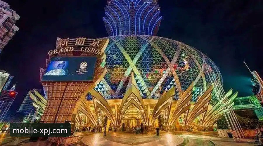 新浦京13677正版下载 新浦京娱乐城移动端下载与使用全指南:从获取到畅玩的必备知识