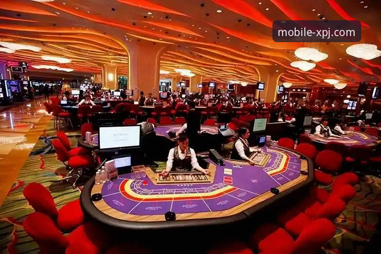 新浦京13677版本更新 新浦京娱乐城移动端全面评测:深度解析13677版本更新带来的体验革新